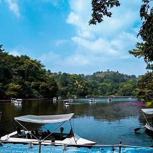 https://wayanad-misty-mountain.kerala-hotels.net