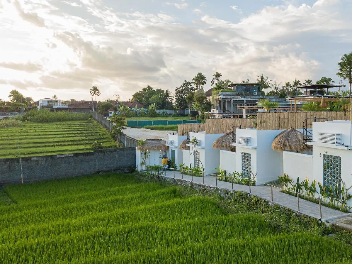 Kokomo Villas By Aayan Canggu 0*,