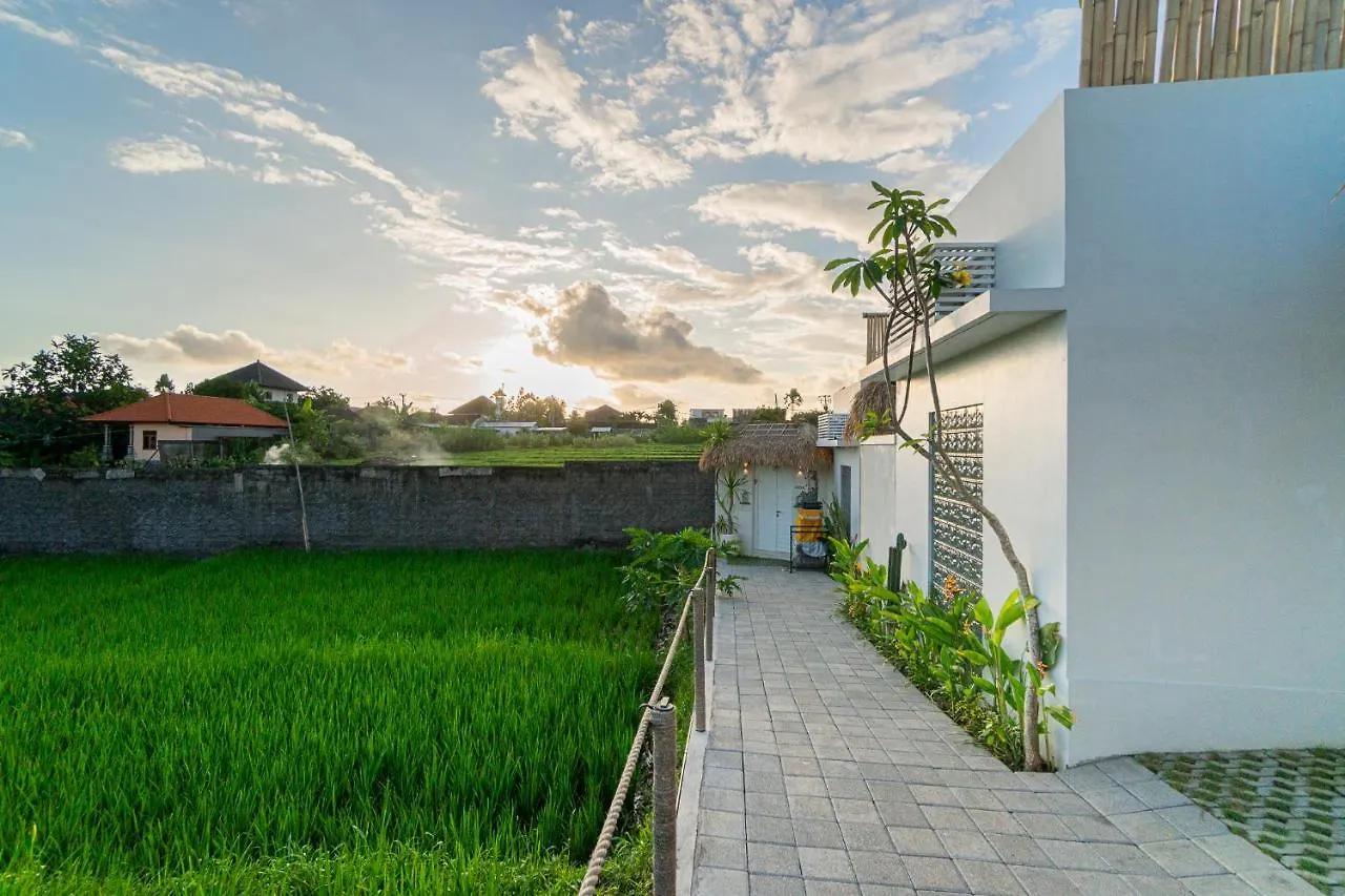 Kokomo Villas By Aayan Canggu